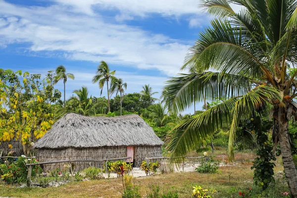 Casa Kanak Tradicional Isla Ouvea Islas Lealtad Nueva Caledonia Kanak — Foto de Stock