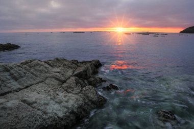 Sunrise Kaikoura Yarımadası'nda, South Island, Yeni Zelanda. Bir popüler ekoturizm hedef alandır