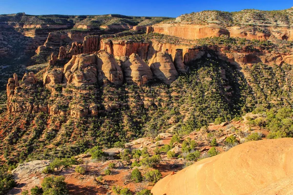Uitzicht Cokesovens Colorado National Monument Grand Junction Verenigde Staten — Stockfoto