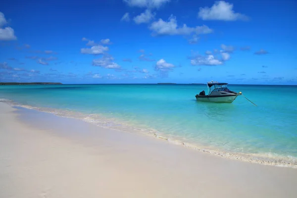 Plaża Fayaoue Wybrzeżu Ouvea Lagoon Mouli Ouvea Islands Wyspy Lojalnościowe — Zdjęcie stockowe