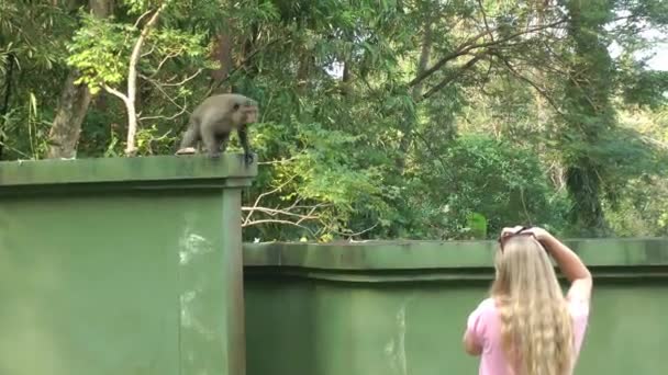 Una turista dai lunghi capelli biondi fotografa una scimmia macaco che corre intorno alla recinzione e mostra aggressività. Viaggi e turismo e animali selvatici in Asia — Video Stock