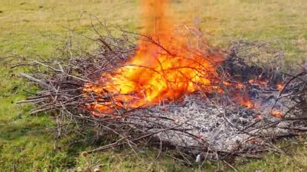 Queimando ramos secos no campo. Chama brilhante queima e emite calor, foco embaçado suave — Vídeo de Stock