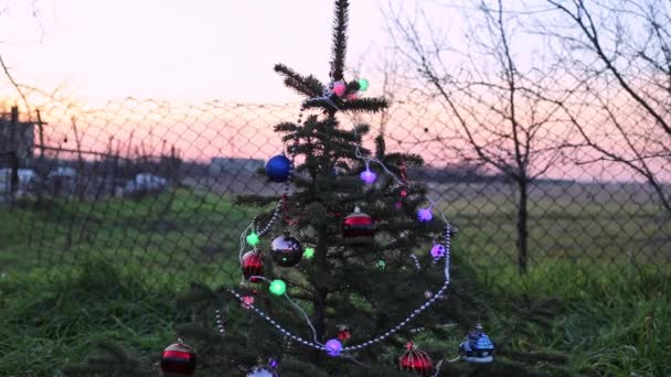 Árvore de Natal decorada com bolas e guirlandas brilha ao anoitecer na rua no campo — Vídeo de Stock