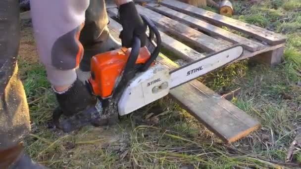 A man is sawing wood in the yard with a chainsaw. Heating of a private house — Stock Video