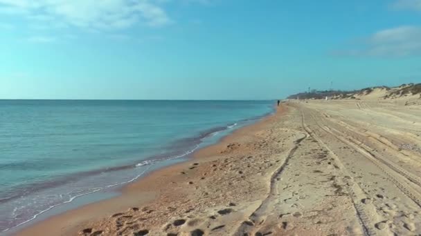 En una playa arenosa en un día de otoño, un hombre se para, hace clic en semillas y guiña — Vídeos de Stock