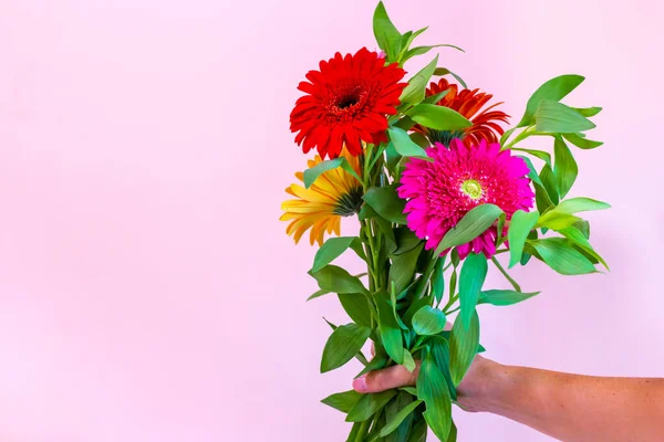 Strauß Gerbera Blumen Der Hand Auf Rosa Hintergrund Mit Kopierraum Stockbild