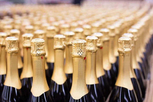 Champagne Flessen Rijen Winkel Feestelijke Alcoholische Drank — Stockfoto