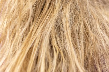 Düzensiz, sert, sarı saçlı, bakımsız bir kadının geçmişi.