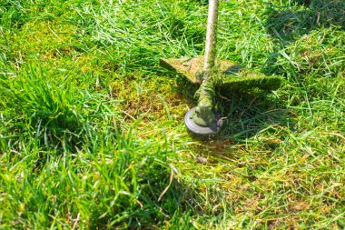 The gardener mows the green grass with a lawn mower. Close-up.