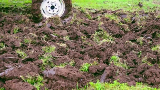 En traktor kör över ett jordbruksfält i en trädgårdstomt och plogar marken med en plog. Plöjning och fräsning — Stockvideo