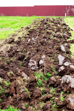 A strip of plowed land in a garden plot in early spring. Soil preparation for planting crops.