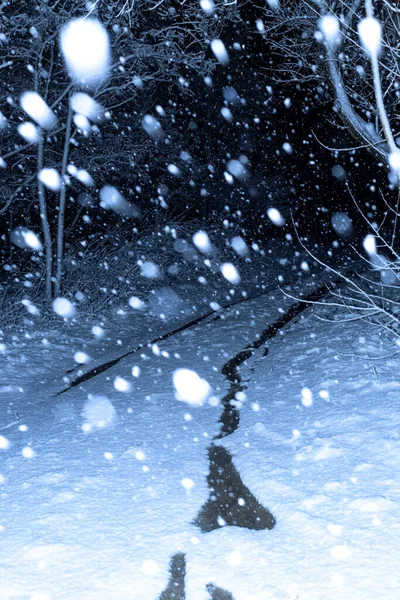 Сильні снігопади вночі на лісовій дорозі. Зимовий сніжний пейзаж — стокове фото