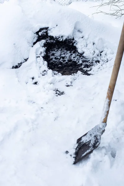 Schwarze Kohle bedeckt mit Schnee und einer Schaufel. Beheizung eines Wohnhauses auf dem Land — Stockfoto