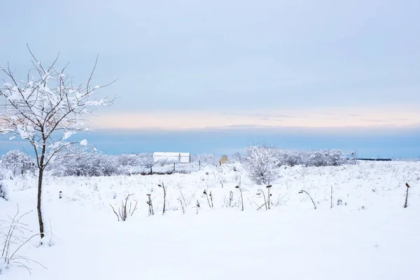Сельский Пейзаж Поле Покрытое Белым Снегом Деревенские Дома Заднем Плане — стоковое фото