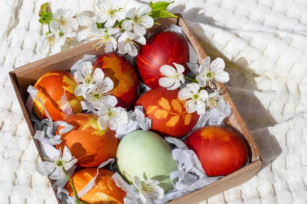 Malovaná vajíčka se sakura květinami na oslavu Velikonoc. Plocha — Stock fotografie