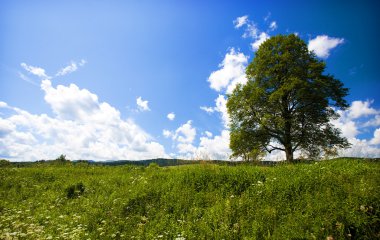 beskids dağ, Polonya Milli Parkı