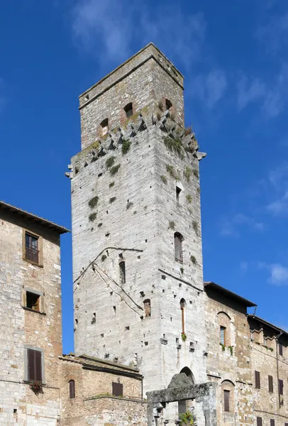 San Gimignano şehri — Stok fotoğraf