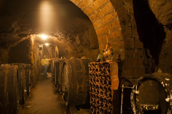 Wine cellar at the Rein river, Germany — Stock Photo, Image