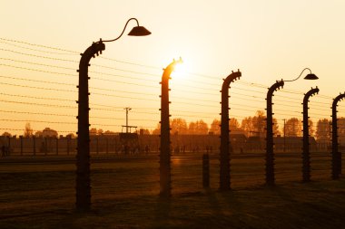 ın auschwitz günbatımı