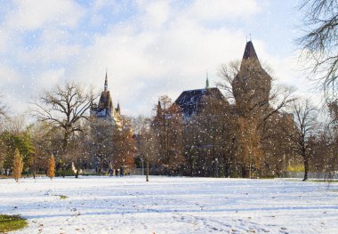 vajdahunyad castle adlı kış, Budapeşte
