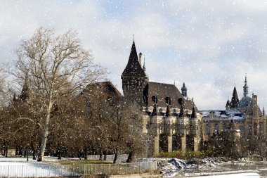 vajdahunyad castle adlı kış, Budapeşte