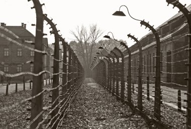 Auschwitz kampı, Polonya