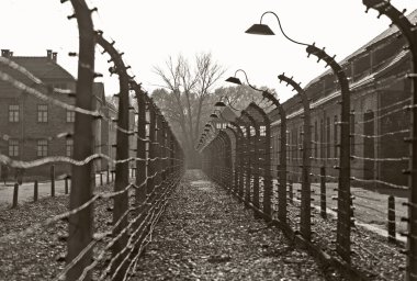 Auschwitz camp, Poland clipart