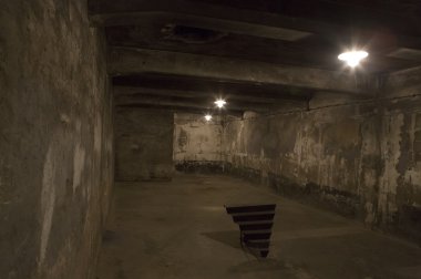 Auschwitz-birkenau kampı, Polonya. nazi gaz odası