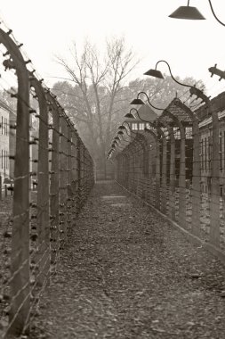OSWIECIM, POLAND - 22 Ekim 2012 'de Polonya' nın Oswiecim kentinde eski bir Nazi imha kampı olan Auschwitz I 'de elektrik fenesi. Avrupa 'daki en büyük Nazi toplama kampıydı..