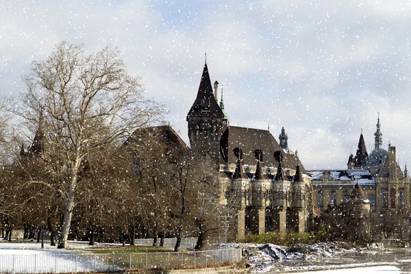 El castillo de Vajdahunyad en invierno, Budapest — Foto de Stock