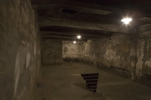 Auschwitz-birkenau kampı, Polonya. nazi gaz odası