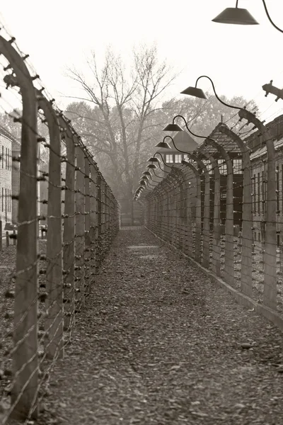 OSWIECIM, POLÓNIA - 22 de outubro de 2012: Fenda elétrica em Auschwitz I, um antigo campo de extermínio nazista em Oswiecim, Polônia. Era o maior campo de concentração nazi da Europa.. — Fotografia de Stock