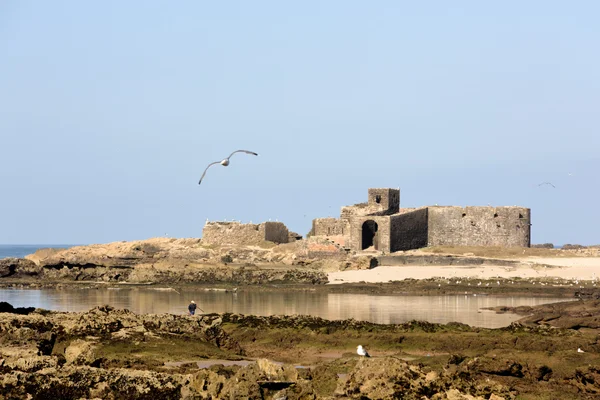 The ancient Moroccan city near the ocean — Stock Photo, Image