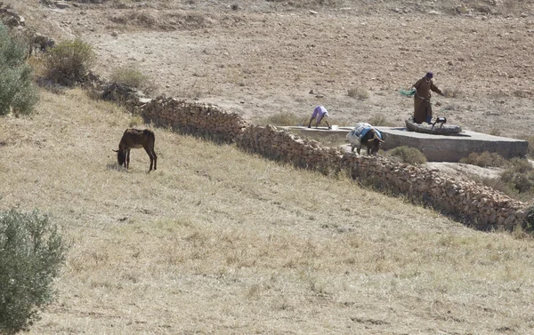 Un hombre trabaja en un campo —  Fotos de Stock