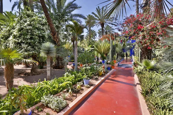 Mooie Marokkaanse park — Stockfoto