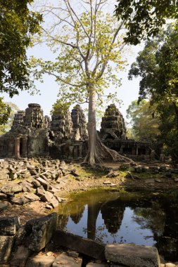 angkor Preah Han Tapınağı yakınında siem reap, Kamboçya