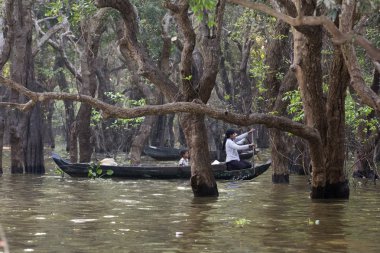 kimliği belirsiz kişi kürek teknesinde tonle sap Gölü içinde siem reap, Kamboçya