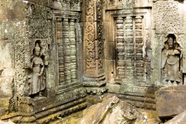 angkor Kamboçya harabelerde