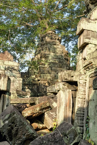 The famous Ta Phrom temple in Angkor — Stock Photo, Image