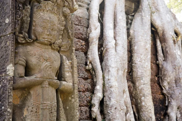 Carved structures in Preah Khan in Angkor — Stock Photo, Image