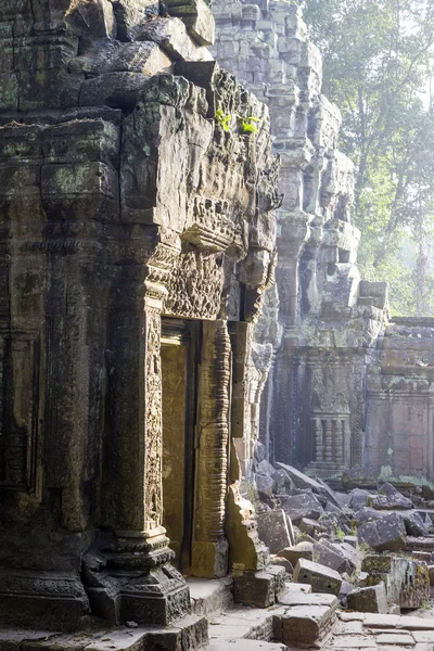 Ruinen in Angkor, Kambodscha — Stockfoto