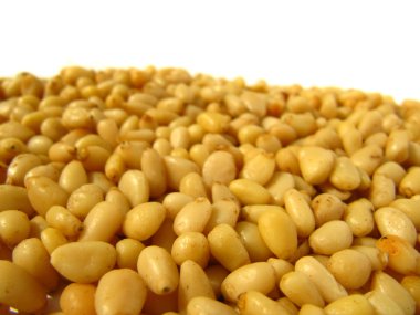 çam fıstığı beyaz bir arka plan üzerinde izole bulanık yakın çekim