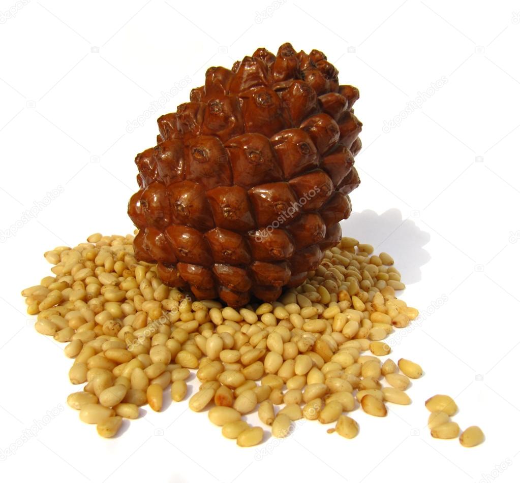 Cedar cones and pine nuts isolated on a white background