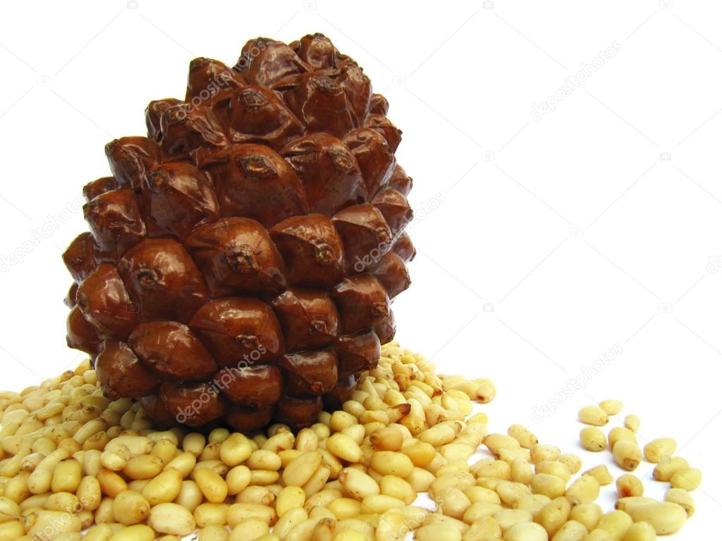 Cedar cones and pine nuts closeup