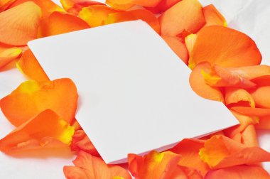 beyaz kağıt üzerine turuncu gül yaprakları, ca tebrik romantik