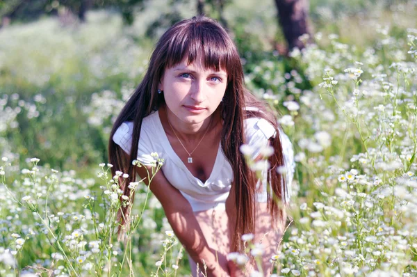 Hermosa chica sexy de pie en un campo de margaritas en ba borrosa — Foto de Stock