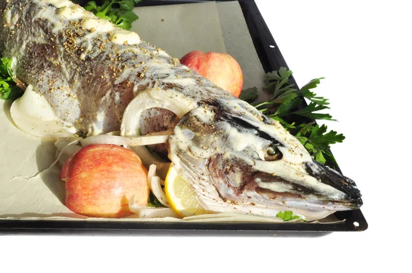 Delicioso pescado fresco con mayonesa y especias aisladas en un wh —  Fotos de Stock