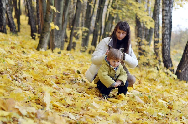 Genç anne ve bebek Park'ta sarı sonbahar yaprakları — Stok fotoğraf