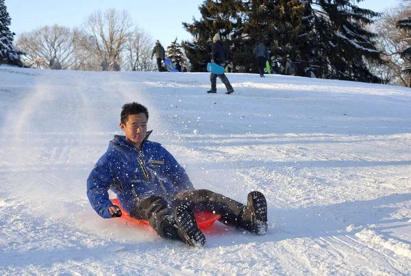 Släde Rider i central park efter snö storm nemo — Stockfoto