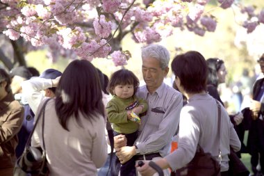 Asian family at Cherry Blossom Festival clipart